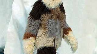 Paris Fashion Week: Chanel jesen 2010 (Coutorture.com)