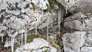 Đir do vrha Zečjak na sjevernom Velebitu, Foto: Leo Banić