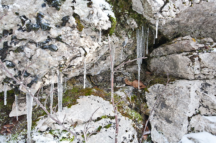 Đir do vrha Zečjak na sjevernom Velebitu, Foto: Leo Banić