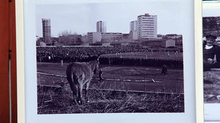 Izložba fotografija “Prijatelji mora” Izložba fotografija “Prijatelji mora”