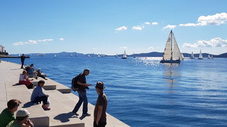 Zadarska Koka 2016. 22. listopada 2016. Foto: Mladen Malik Zadarska Koka 2016. 22. listopada 2016. Foto: Mladen Malik