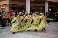 002 Karnevalska povorka Zadar 15.2.2026, Foto Matija Lipar