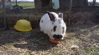 OLYMPUS DIGITAL CAMERA OLYMPUS DIGITAL CAMERA