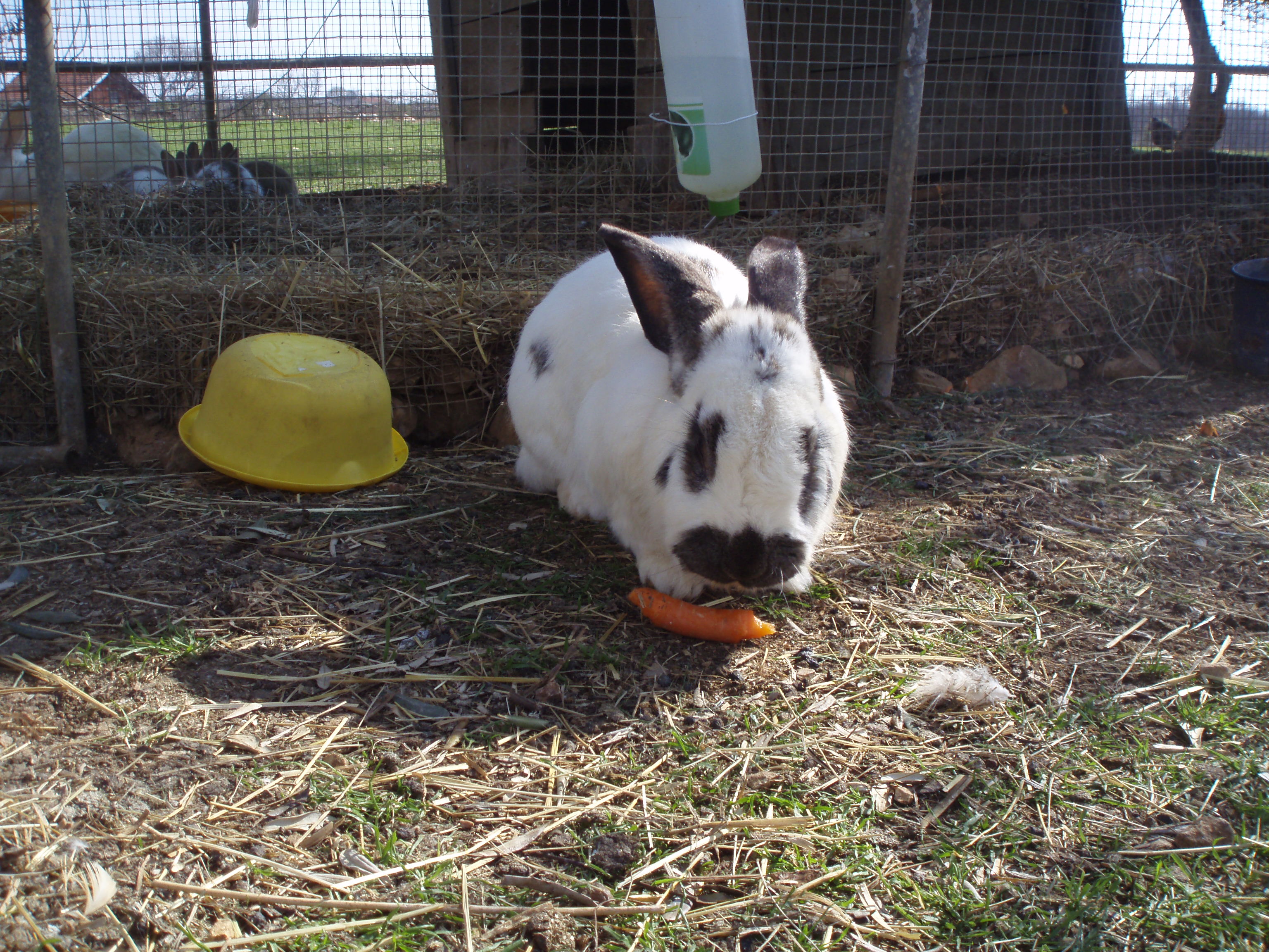 OLYMPUS DIGITAL CAMERA OLYMPUS DIGITAL CAMERA