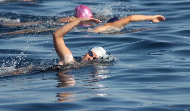 40. Plivački maraton Preko-Zadar, Foto: Edin Kadić