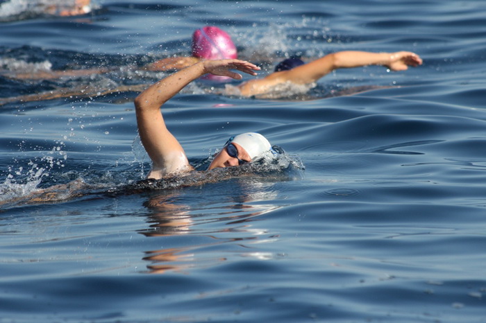 40. Plivački maraton Preko-Zadar, Foto: Edin Kadić 40. Plivački maraton Preko-Zadar, Foto: Edin Kadić