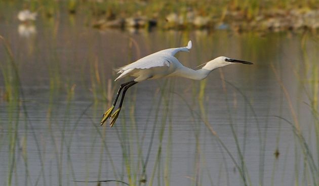 Jutro na Vranskom jezeru