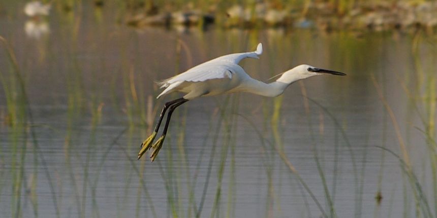 Jutro na Vranskom jezeru