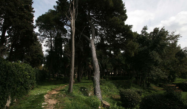 Maraska park Foto: Jure Mišković/CROPIX