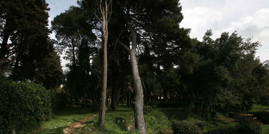 Maraska park Foto: Jure Mišković/CROPIX Maraska park Foto: Jure Mišković/CROPIX