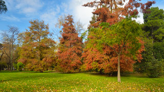 Jesenski đir po gradu, 15. studenog 2014. , foto: Marin Pitton Jesenski đir po gradu, 15. studenog 2014. , foto: Marin Pitton