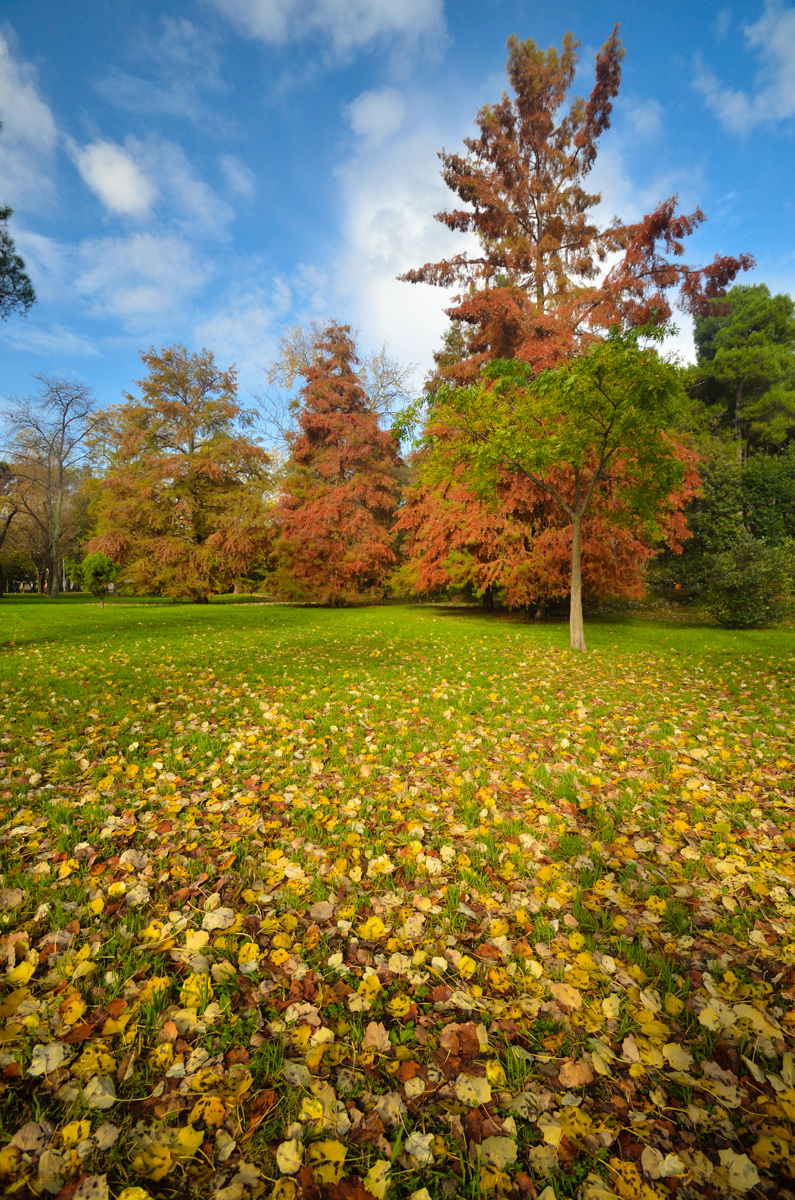 Jesenski đir po gradu, 15. studenog 2014. , foto: Marin Pitton Jesenski đir po gradu, 15. studenog 2014. , foto: Marin Pitton
