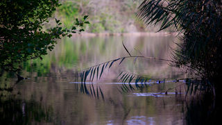 Izlet u NP Krka: Skradin, Skradinski buk, Visovac, foto: Darko Belančić