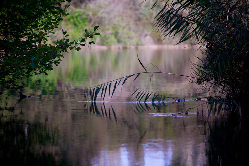 Izlet u NP Krka: Skradin, Skradinski buk, Visovac, foto: Darko Belančić