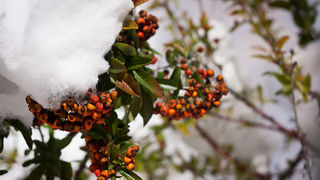 Noćni đir po Višnjiku, Foto: Anđelo Virag