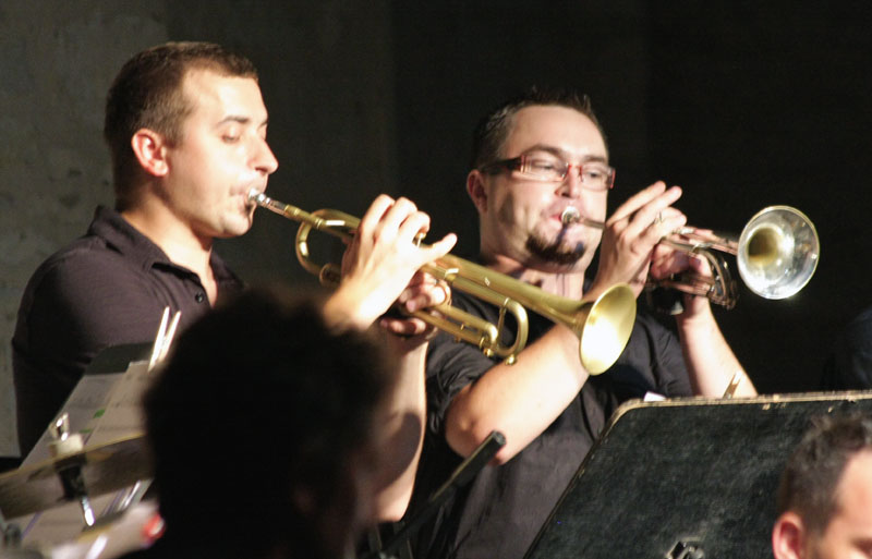 Tribute to Swing 2009. (foto: Marin Gospić)