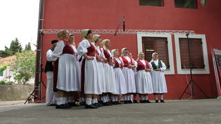 Sveti Filip i Jakov: 11. Dani cvijeca Zadarske zupanije, Foto: Martin Brkljaca Sveti Filip i Jakov: 11. Dani cvijeca Zadarske zupanije, Foto: Martin Brkljaca