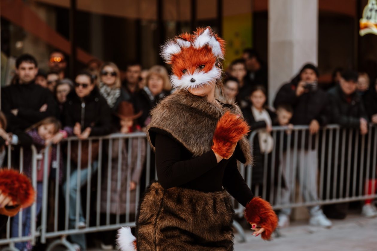 008 Karnevalska povorka Zadar 15.2.2026, Foto Matija Lipar