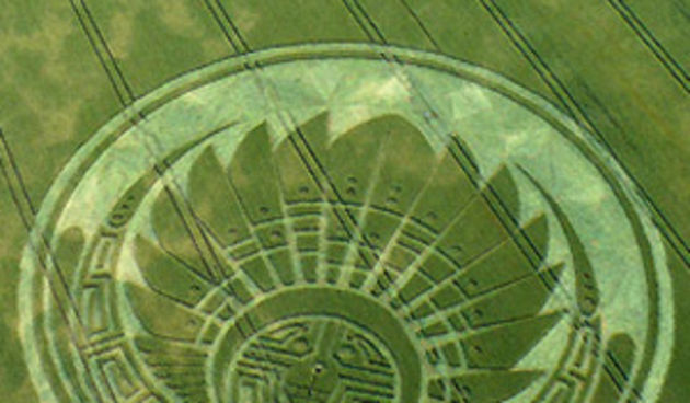 Krug u žitu (foto: metro-portal.hr)