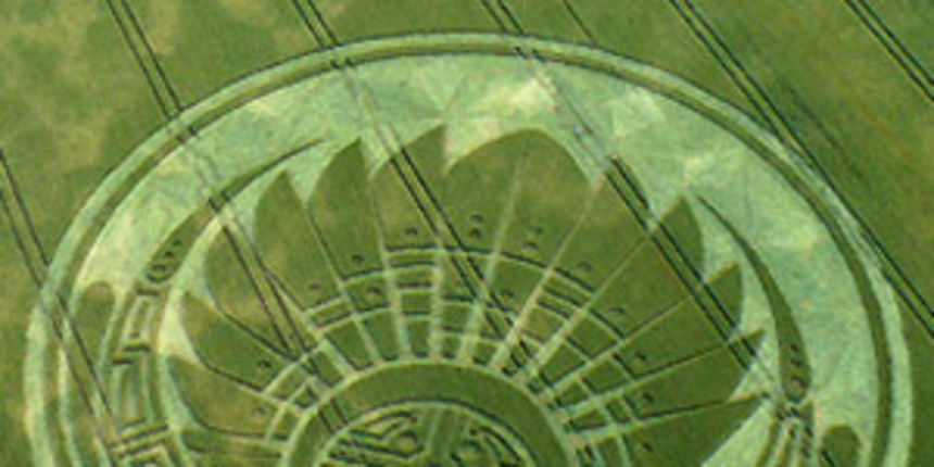 Krug u žitu (foto: metro-portal.hr) Krug u žitu (foto: metro-portal.hr)