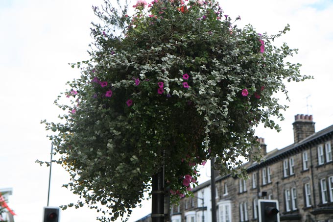 Image 1185591 (auto)