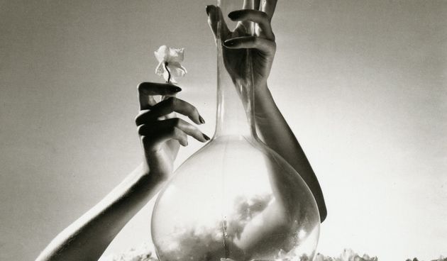 Horst, foto:wicked-halo.com