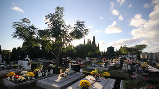 Blagdan Svih svetih (foto:Saša Čuka)