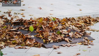 Đir po gradu, ponedjeljak 13. studenog 2017. Jesen, lišće, palo lišće