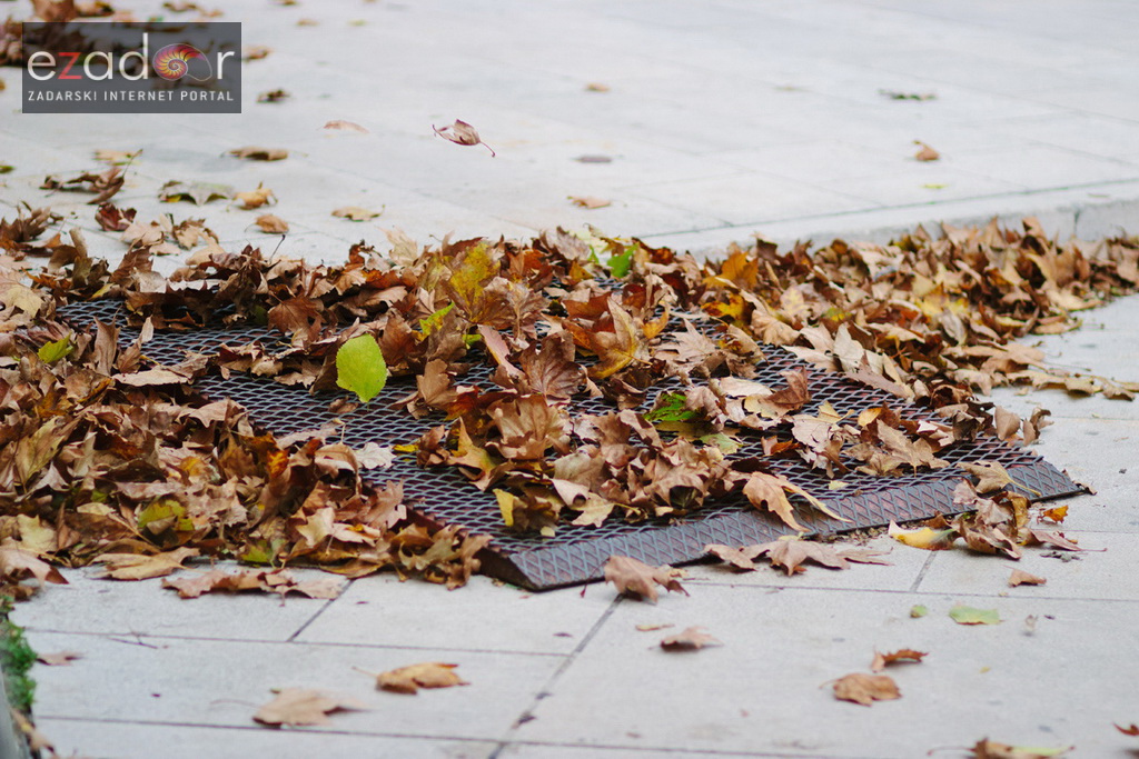 Đir po gradu, ponedjeljak 13. studenog 2017. Jesen, lišće, palo lišće