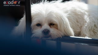 Đir po gradu, subotnja špica 9. ožujka 2019. Đir po gradu, subotnja špica 9. ožujka 2019.