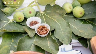 11. Festival smokava – Gastro smokva @ Muzej antičkog stakla 11. Festival smokava – Gastro smokva @ Muzej antičkog stakla