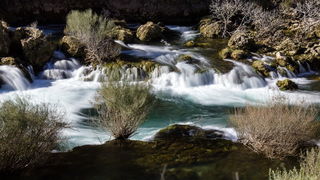 OLYMPUS DIGITAL CAMERA OLYMPUS DIGITAL CAMERA