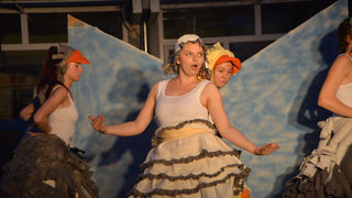 Ružno pače u izvedbi Dragon Teatra Ružno pače u izvedbi Dragon Teatra