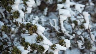 Od Velikog Rujna, preko Rujanske kose do Višerujna…