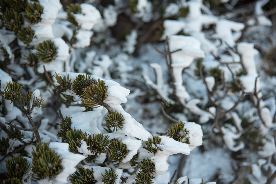 Od Velikog Rujna, preko Rujanske kose do Višerujna…