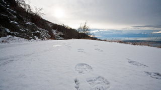 Đir do vrha Zečjak na sjevernom Velebitu, Foto: Leo Banić