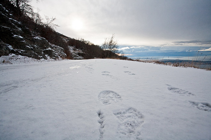Đir do vrha Zečjak na sjevernom Velebitu, Foto: Leo Banić