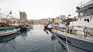 Ribarice u zadarskoj luci, Foto: Leo Banić