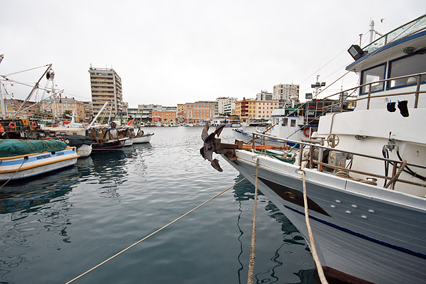 Ribarice u zadarskoj luci, Foto: Leo Banić