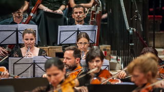 Zadarski komorni orkestar: Beethovenova Deveta simfonija u katedrali Sv. Stošije