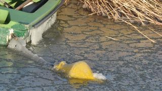 Zaledilo Vransko jezero u lučici na Prosici