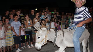 Sukosan: 40. Trka tovarov “Memorijal kenje Vijole” i 6. Noc svicarenja 8. kolovoza 2010. Sukosan: 40. Trka tovarov “Memorijal kenje Vijole” i 6. Noc svicarenja 8. kolovoza 2010.