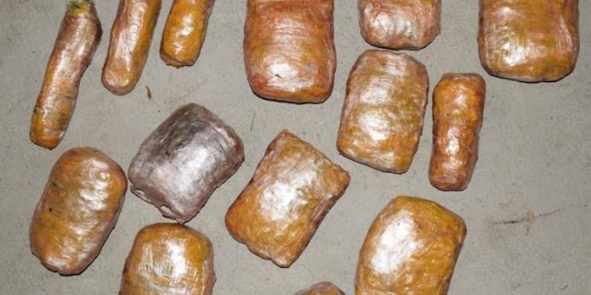 Dubrovački dnevnik droga