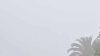 Zadar već treći dan okovan gustom maglom. Foto: Dino Stanin/Pixsell