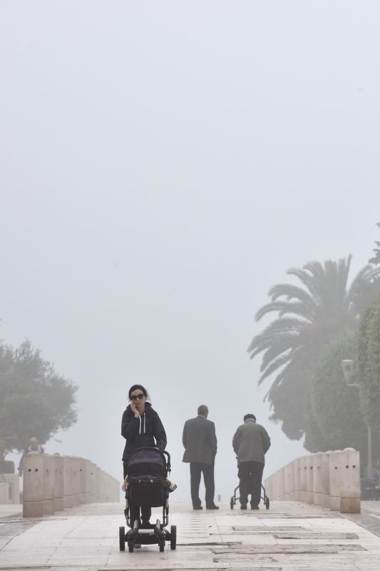 Zadar već treći dan okovan gustom maglom. Foto: Dino Stanin/Pixsell