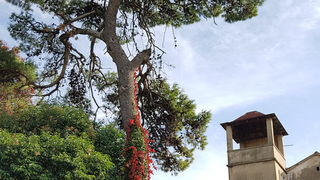 Boje zadarske jeseni. Foto: Mladen Malik