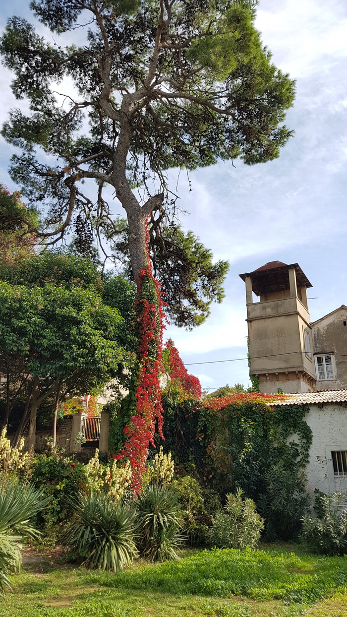 Boje zadarske jeseni. Foto: Mladen Malik