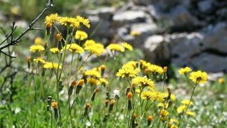 4. planinarski pohod “Hajdemo do Vrane” u organizaciji PD Belveder