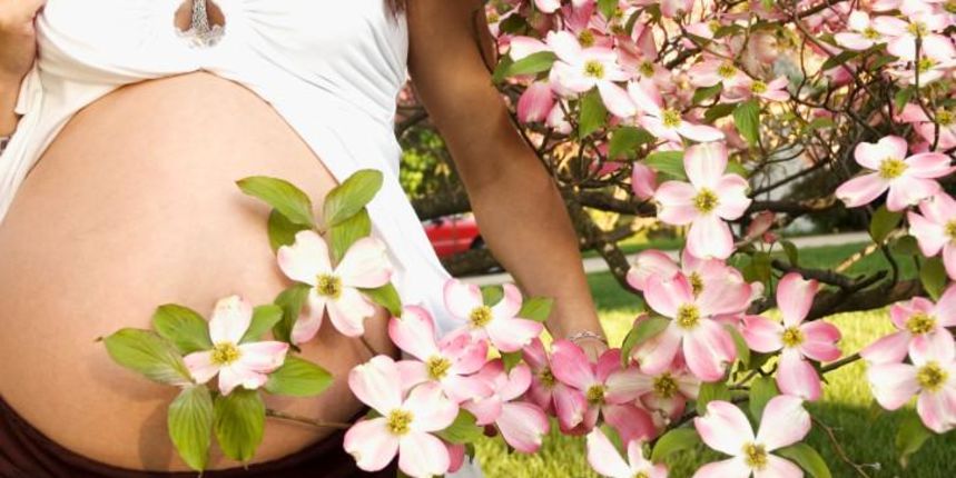 Trudnica (Tportal.hr)