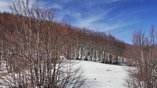 Veliko Rujno – Buljma – Struge